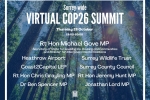 Surrey-wide virtual COP26 summit